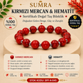 Red Coral and Hematite Certified Natural Stone Bracelet SPF-A-045